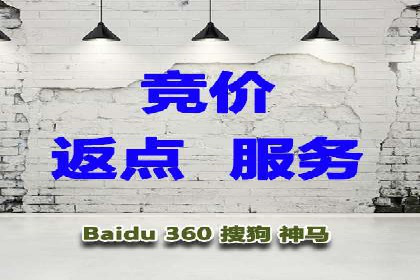 百度推广实战案例：如何精准投放广告